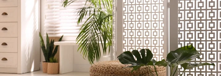 Heller Raum mit Raumteiler und Pflanzen